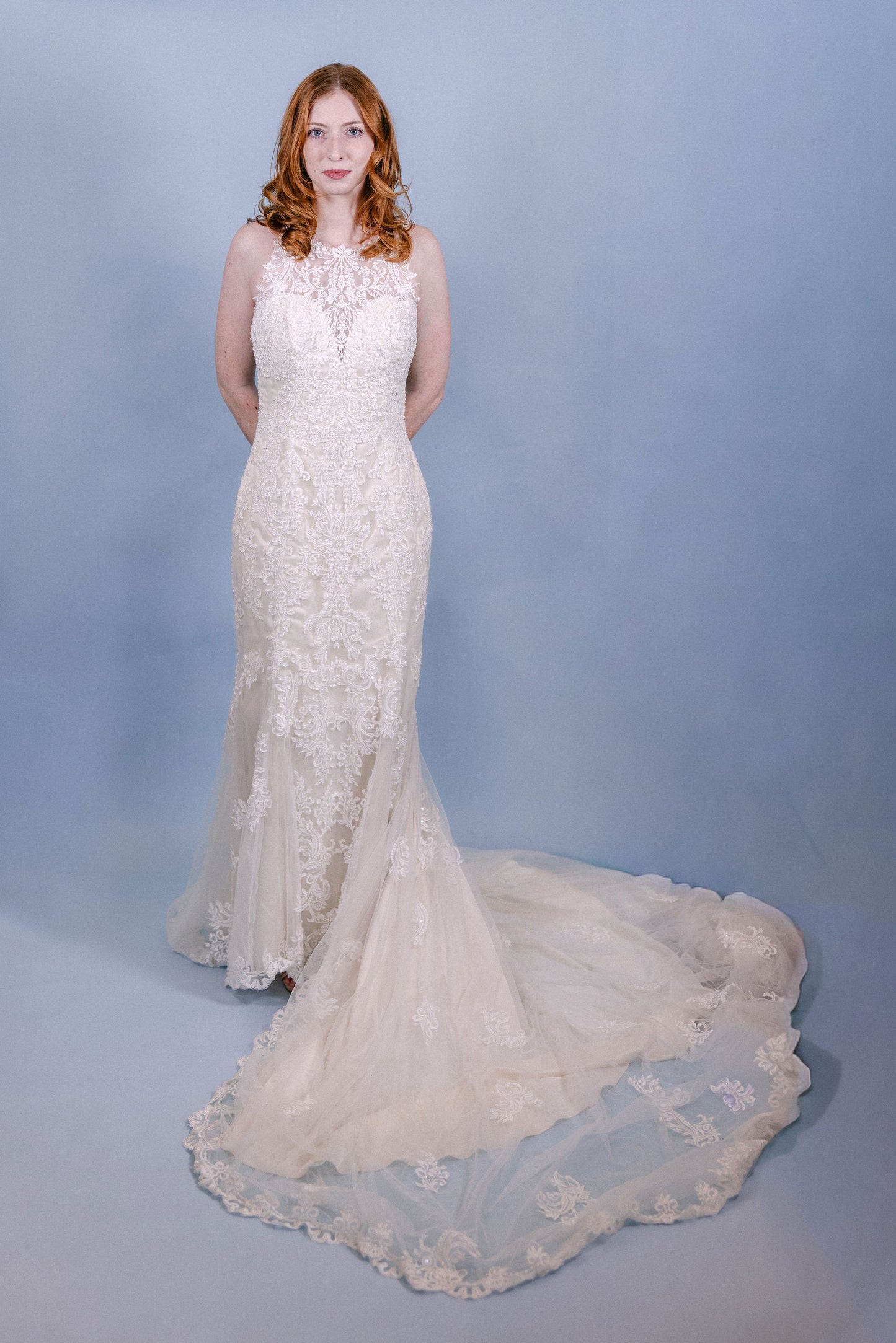 Janelle: Newer style, 2015s, mermaid, high neck, beaded and lace