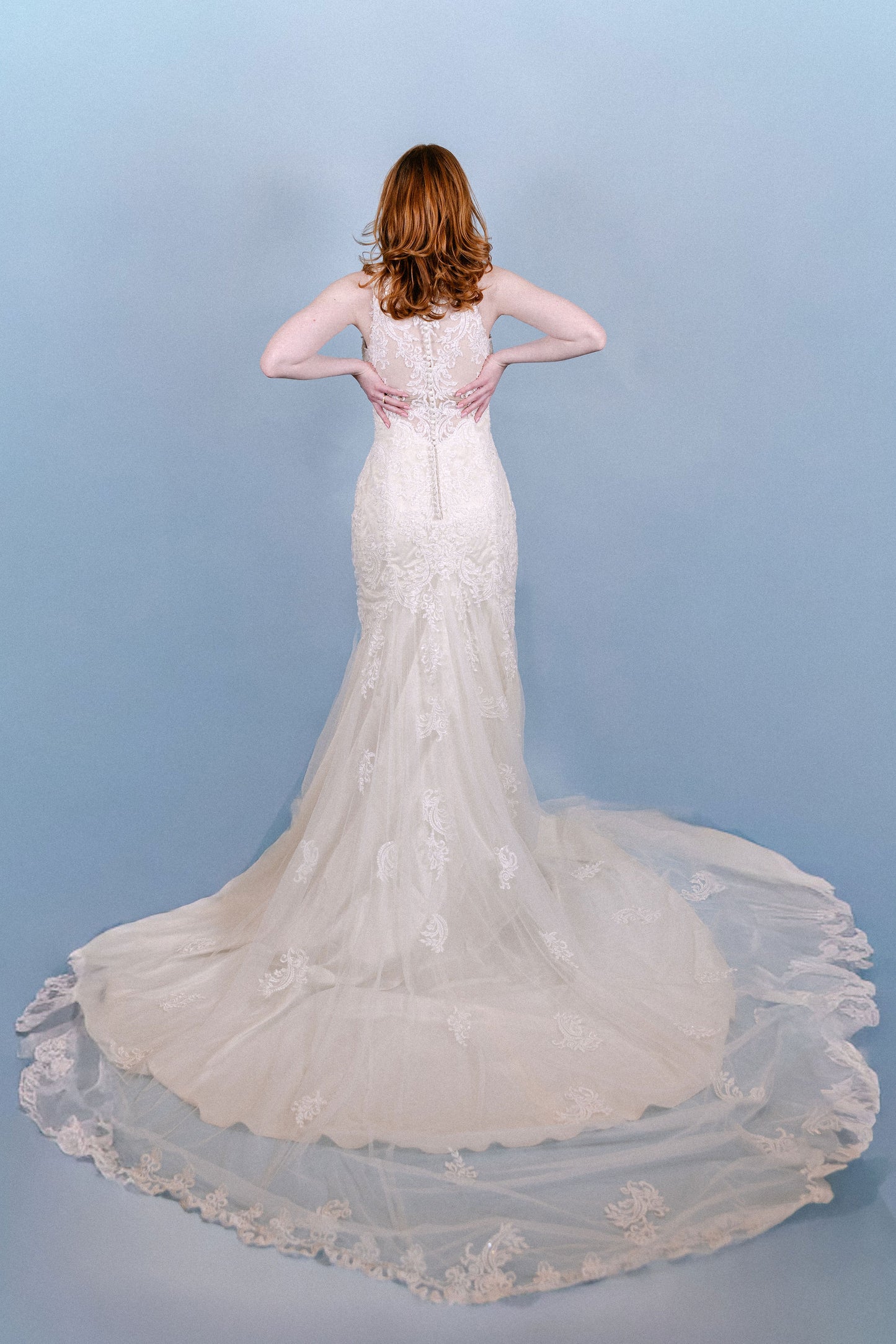 Janelle: Newer style, 2015s, mermaid, high neck, beaded and lace